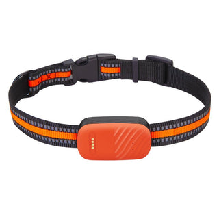 4G Waterproof Pet GPS Tracker: Real-time location & anti-theft for dogs & cats, ensuring their safety and your peace of mind 4 of 6
