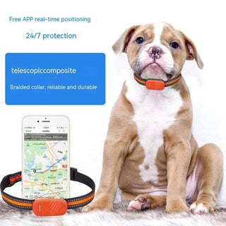 4G Waterproof Pet GPS Tracker: Real-time location & anti-theft for dogs & cats, ensuring their safety and your peace of mind 1 of 6