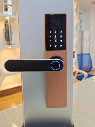 Black or Rose Gold Fingerprint Door Lock for Wood. Keyless entry with fingerprint. Modern design. Optional WiFi & all-access features (app, password, card).