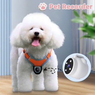 GPS Pet Tracker Collar with Camera: Real-time location, wide-angle video recording, and motion detection for dogs and cats 1 of 9