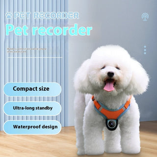 GPS Pet Tracker Collar with Camera: Real-time location, wide-angle video recording, and motion detection for dogs and cats 4 of 9